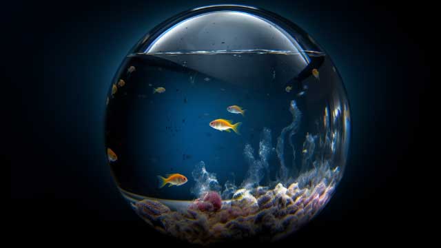 S Solutions -Water--640x360