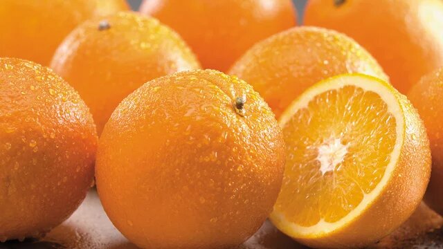 citrus_640x360.jpg