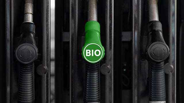 biofuels meat protein