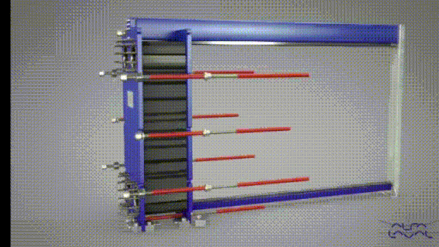 ezgif.com-gif-maker (1)