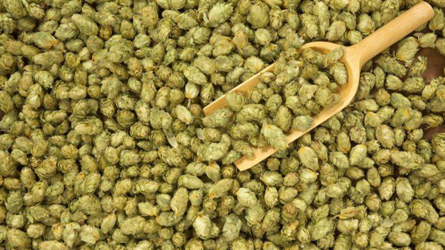 hops3 (1)