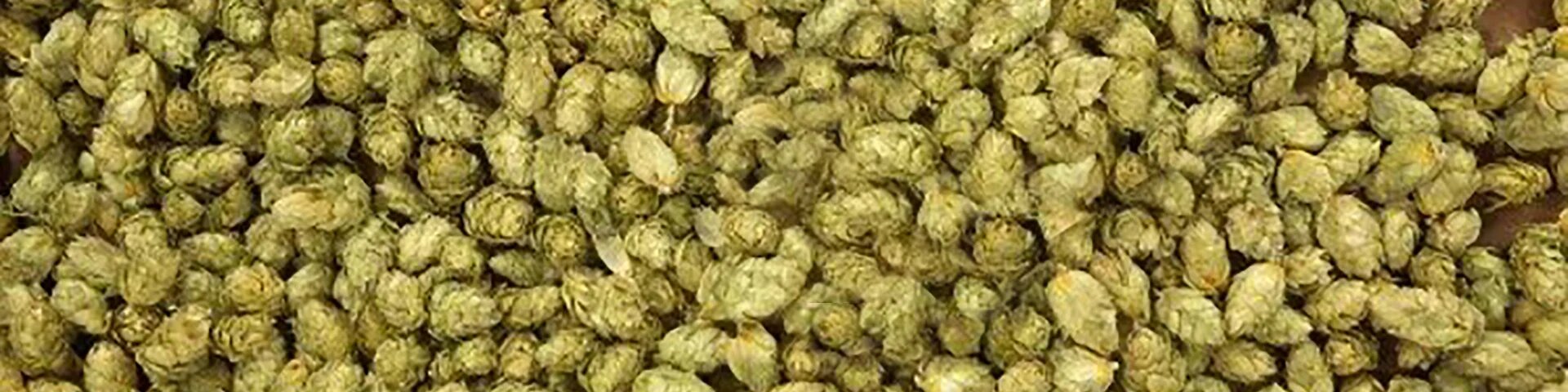 hops3-1920-x-480