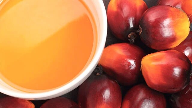 palm oil processing intro img