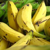 platanos-200x200.jpg