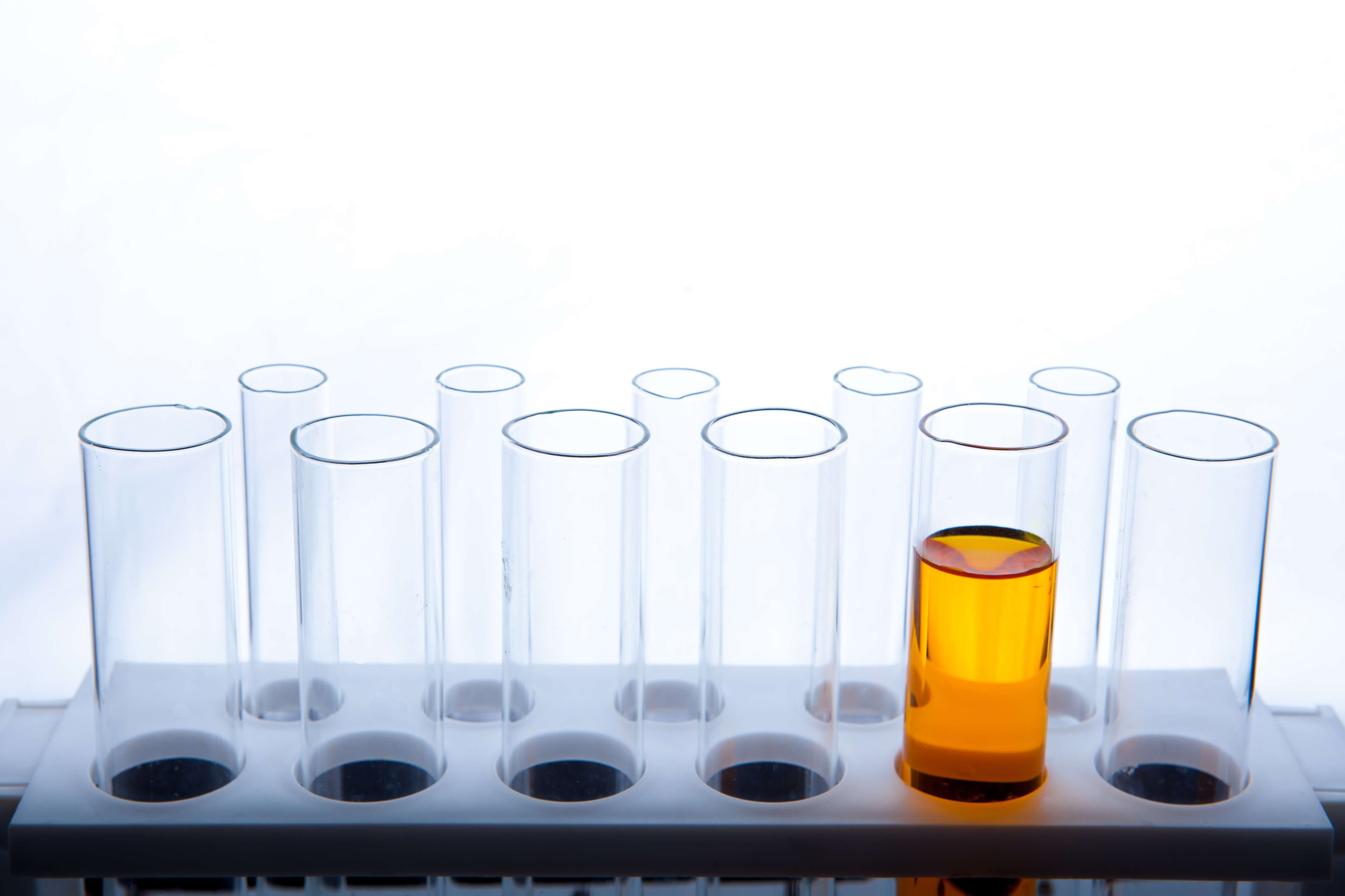 shutterstock 165146978 (2)