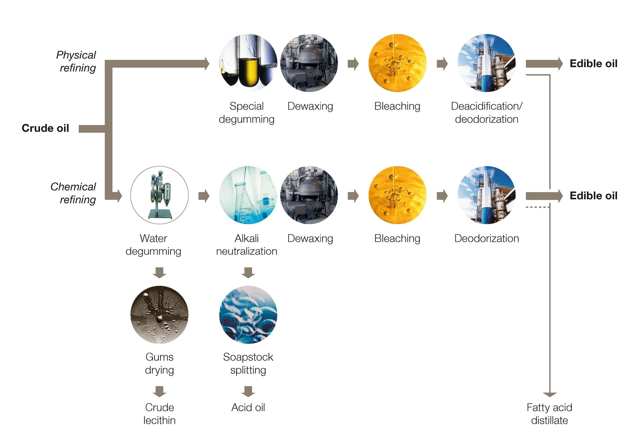 edible-oil-process-line-portfolio (1).jpg