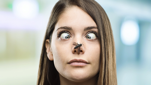 woman_with_a_flie_on_her_nose_640x360.jpg