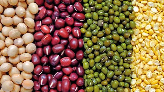beans.jpg